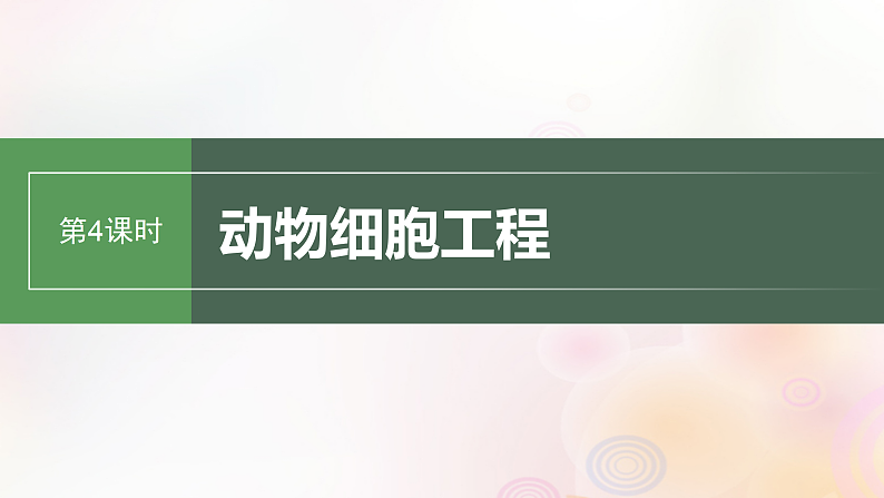 鲁湘辽新教材2024届高考生物一轮复习第十单元生物技术与工程第4课时动物细胞工程课件第1页