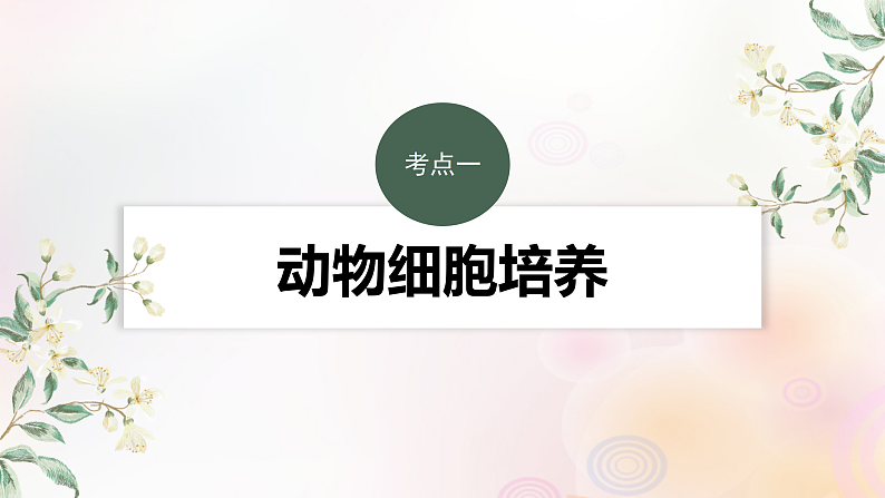 鲁湘辽新教材2024届高考生物一轮复习第十单元生物技术与工程第4课时动物细胞工程课件第3页