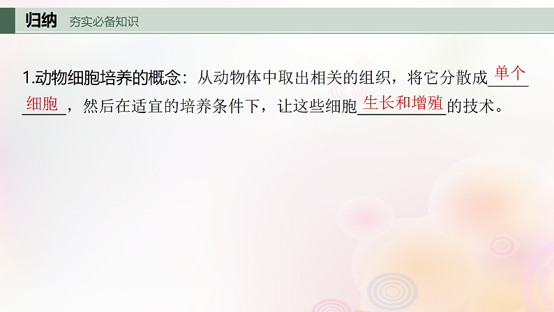 鲁湘辽新教材2024届高考生物一轮复习第十单元生物技术与工程第4课时动物细胞工程课件第4页