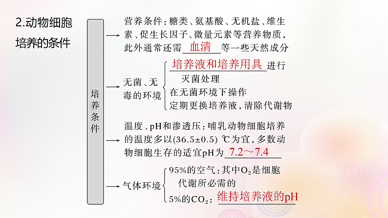 鲁湘辽新教材2024届高考生物一轮复习第十单元生物技术与工程第4课时动物细胞工程课件第5页