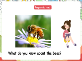 冀教版（三起点）英语五上Unit3 A Travel Plan Lesson 18 Billy Bee 课件＋素材