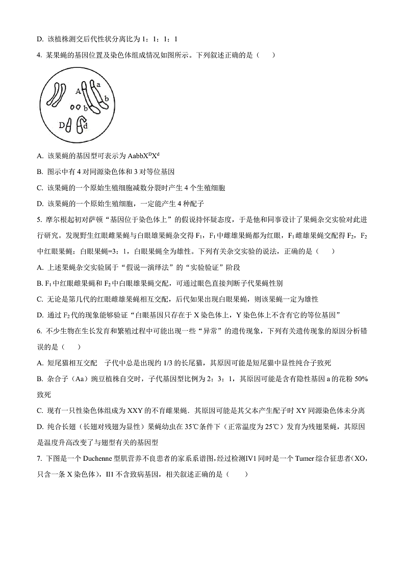 湖北省武汉市重点中学5G联合体2023-2024学年高一下学期期末考试生物试卷（原卷版）第2页