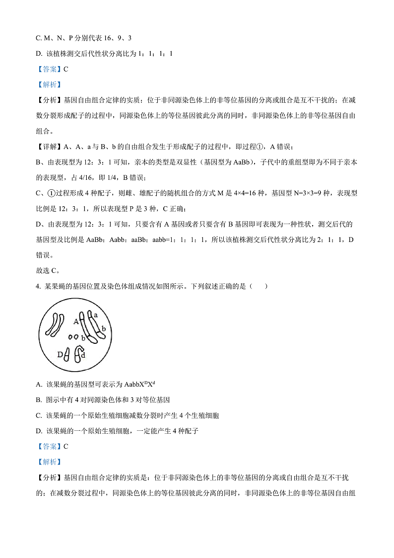 湖北省武汉市重点中学5G联合体2023-2024学年高一下学期期末考试生物试卷（解析版）第3页