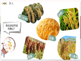 【人教版】七上歷史  第2課  原始農(nóng)業(yè)與史前社會(huì)（課件+教案+導(dǎo)學(xué)案+同步練習(xí)+素材）