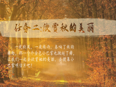 【核心素养-任务群】部编版语文三上 5《铺满金色巴掌的水泥道》课件+教案+音视频素材+课文朗读