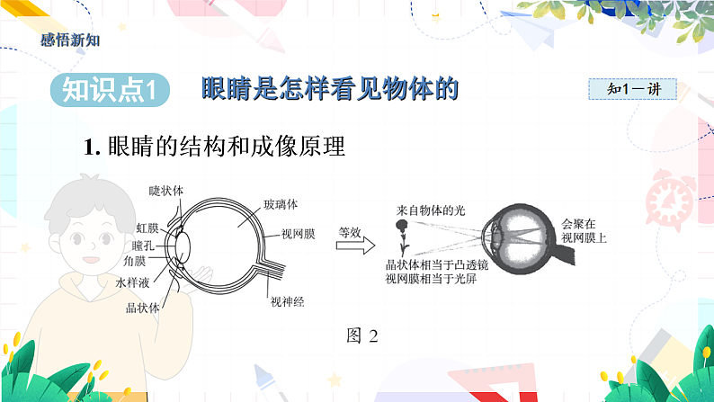 物理八上 沪粤 第3章3.7 眼睛与光学仪器 PPT课件+教案+导学案05