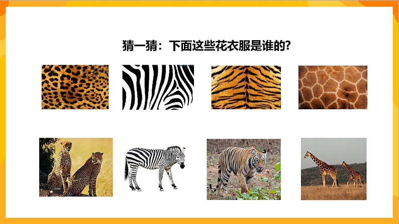 【核心素养】人教版美术二年级上册 6《花花衣》课件+教案+素材07