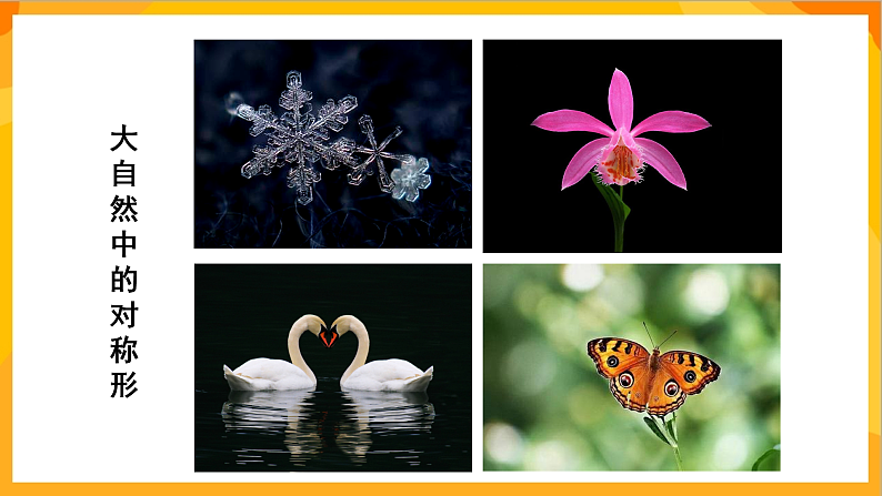 【核心素养】人教版美术二年级上册 7《巧用对称形》课件+教案+素材08