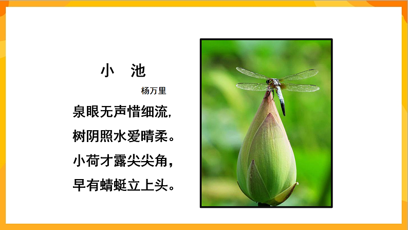 【核心素养】人教版美术二年级上册 9 《蜻蜓飞飞》课件+教案+素材07