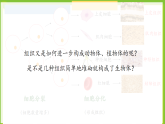 3.3《生物體的器官、系統(tǒng)》課件+教案
