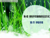 4.2《呼吸作用》課件+教案