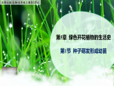 5.1《種子萌發(fā)形成幼苗》課件+教案