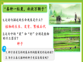 5.1《種子萌發(fā)形成幼苗》課件+教案