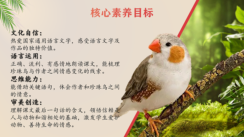 【新课标-核心素养】部编版语文五上 4《珍珠鸟》课件+教案+音视频素材02