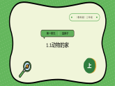 【2024新教材】教科版科學(xué)二年級(jí)上冊(cè)第1單元造房子1.1動(dòng)物的家課件