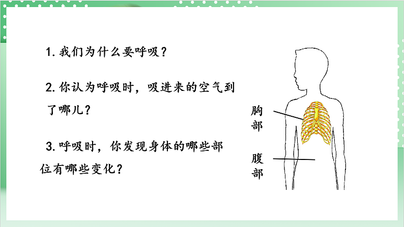 教科版科学四年级上册2.1 《感受我们的呼吸》  课件+教案+素材05