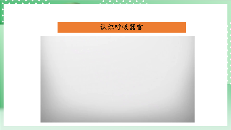 教科版科学四年级上册2.1 《感受我们的呼吸》  课件+教案+素材07