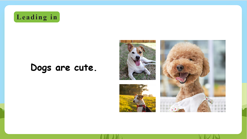 外研版英语五年级上册Module 7 Unit 1《He can’t see》课件+试卷03