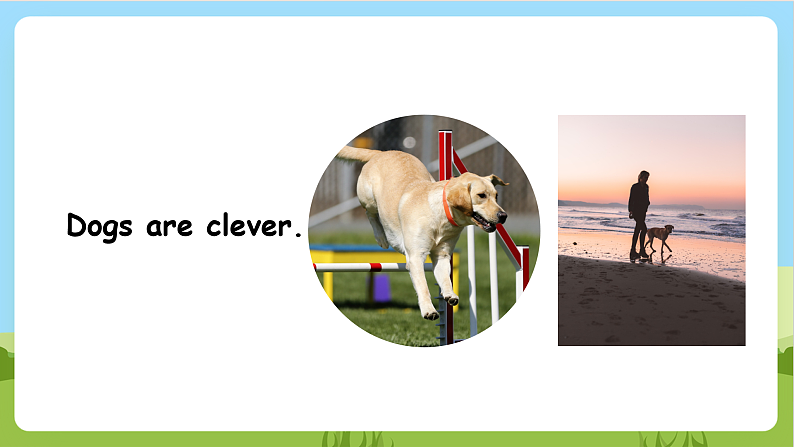 外研版英语五年级上册Module 7 Unit 1《He can’t see》课件+试卷04