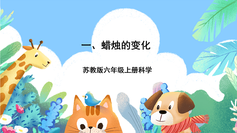 1.1《蜡烛的变化》课件第1页