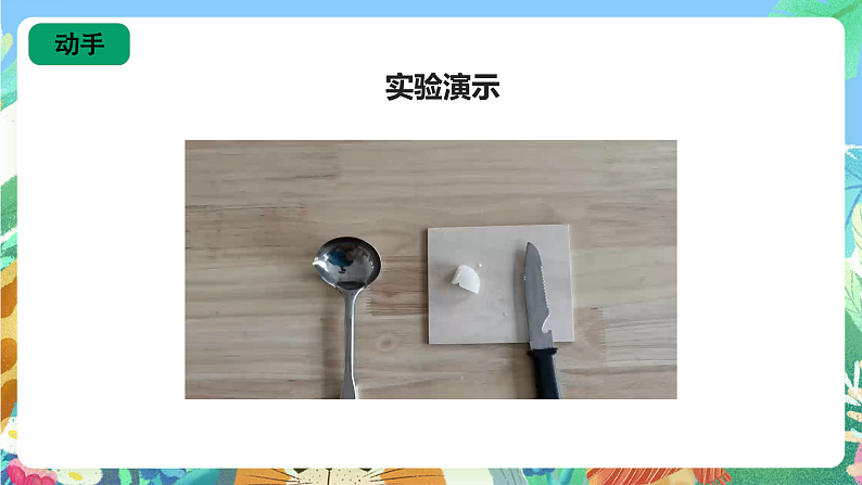 1.1《蜡烛的变化》课件第8页
