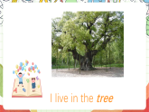 外研版（一起）英语二年级上册Module 6 Unit 2《Where do you live》课件