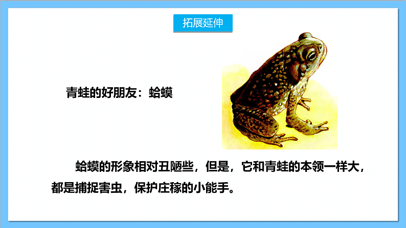 【核心素养】人教版音乐二上2.1《数蛤蟆》课件+教案+素材04