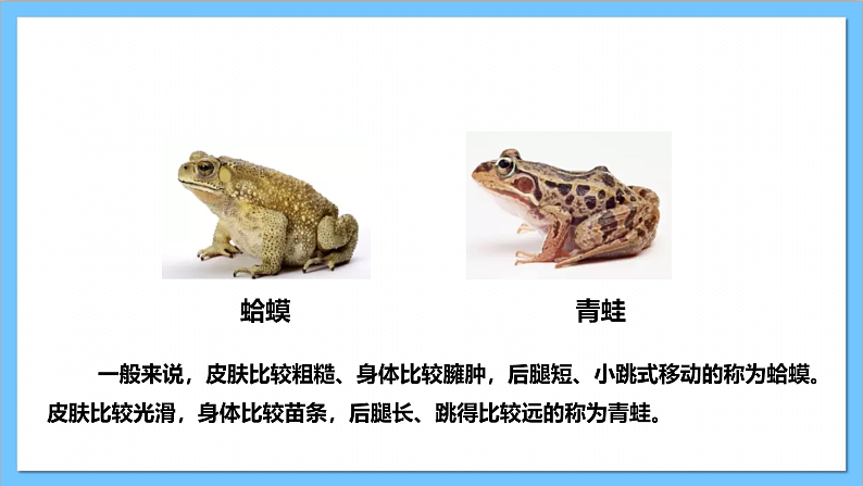 【核心素养】人教版音乐二上2.1《数蛤蟆》课件+教案+素材05