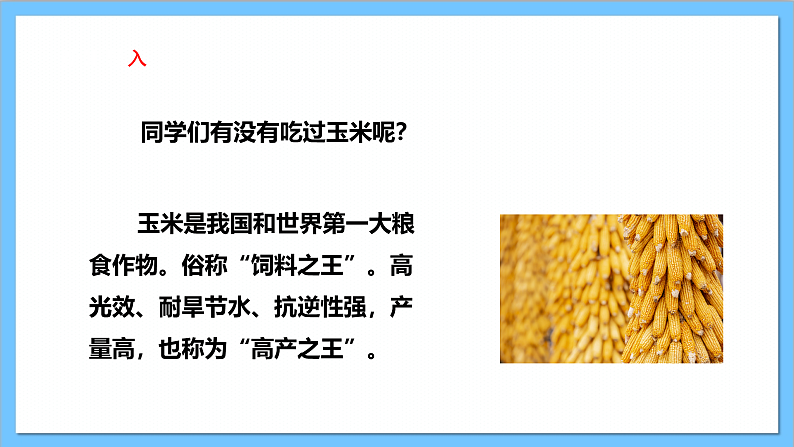 【核心素养】人教版音乐二上3.4《种玉米》课件+教案+素材05