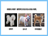 【核心素养】人教版音乐二上4.5《小狗圆舞曲》课件+教案+素材