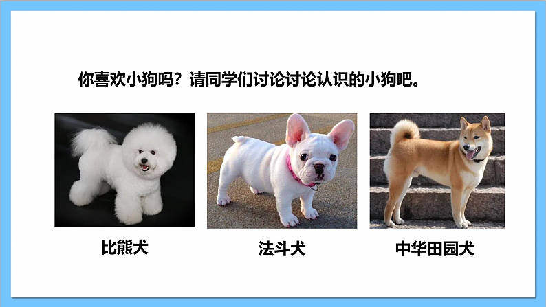 【核心素养】人教版音乐二上4.5《小狗圆舞曲》课件+教案+素材05