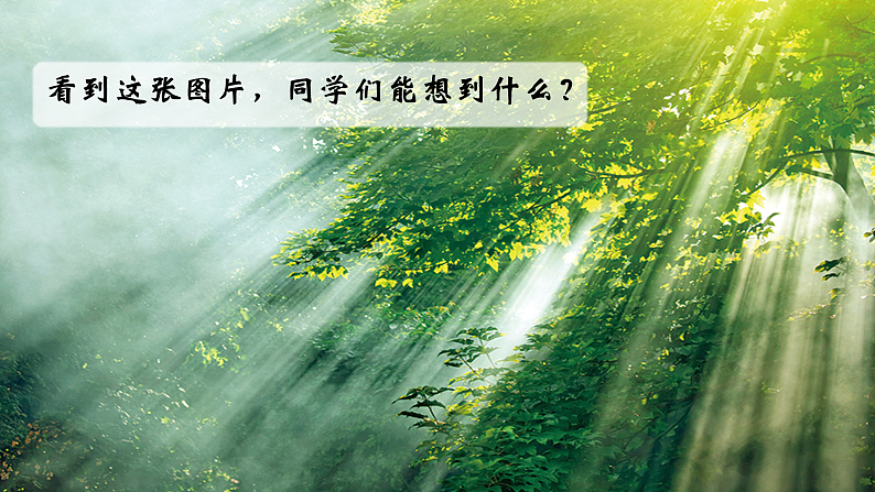 教科版科学五年级上册1.1《有关光的思考》课件+教案+课后练习+学习任务单+素材03