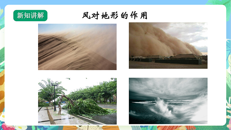 教科版科学五年级上册2.5《风的作用》课件+教案+课后练习+学习任务单+素材06