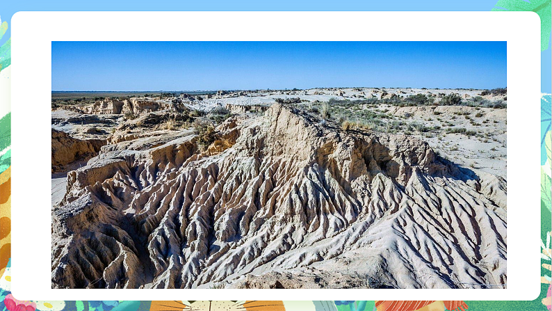 教科版科学五年级上册2.7《总结我们的认识》课件+教案+课后练习+学习任务单+素材05