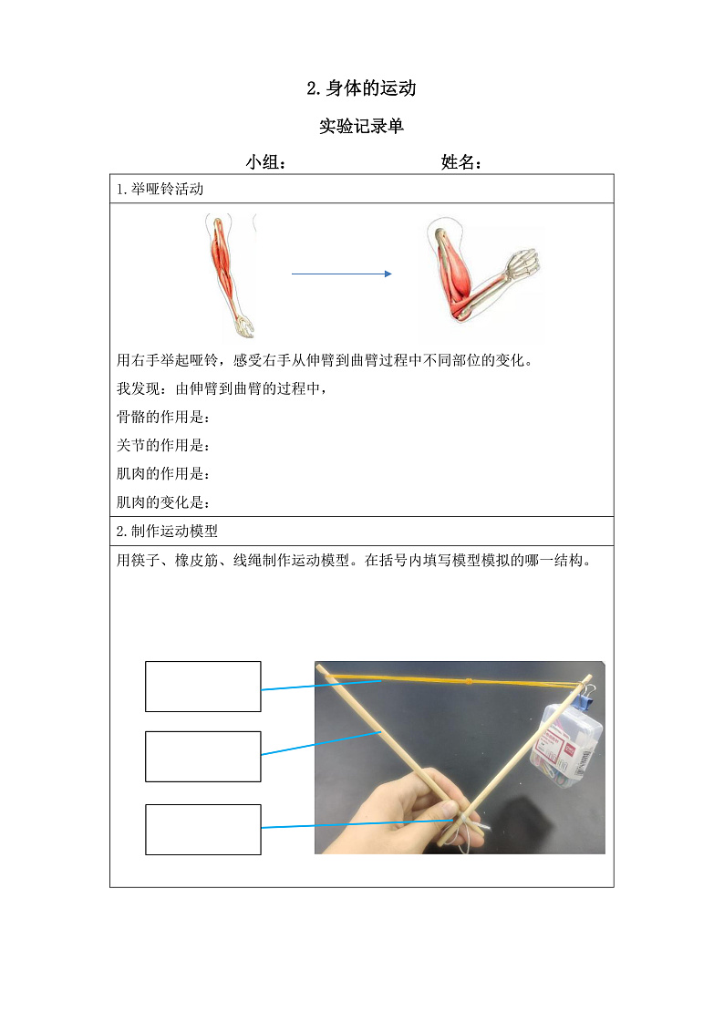 教科版科学五年级上册4.2《身体的运动》课件+教案+课后练习+学习任务单+素材01