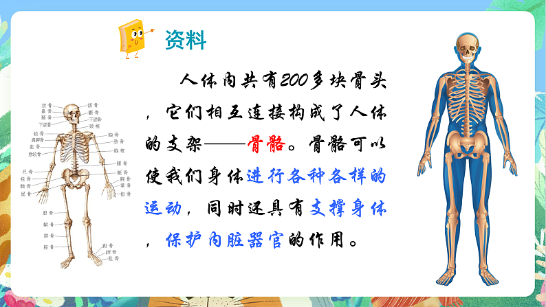 教科版科学五年级上册4.2《身体的运动》课件+教案+课后练习+学习任务单+素材05