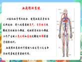 教科版科學(xué)五年級(jí)上冊(cè)4.3《心臟和血液》課件+教案+課后練習(xí)+學(xué)習(xí)任務(wù)單+素材