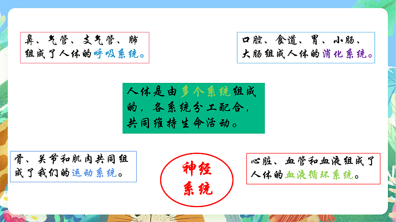 教科版科学五年级上册4.4《身体的总指挥》课件+教案+课后练习+学习任务单+素材06