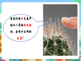 教科版科学五年级上册4.5《身体的联络员》课件+教案+课后练习+学习任务单+素材