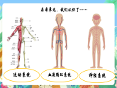 教科版科学五年级上册4.7《制定健康生活计划》课件+教案+课后练习+学习任务单+素材