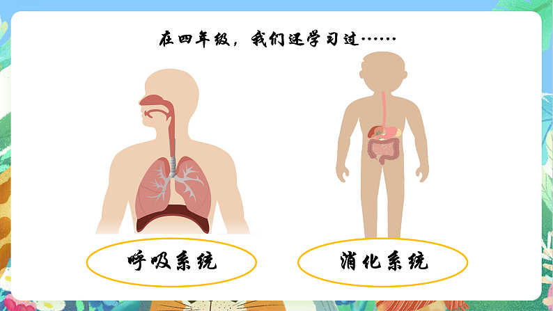 教科版科学五年级上册4.7《制定健康生活计划》课件+教案+课后练习+学习任务单+素材06