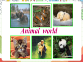外研版（一起）英语六上 Module 7 Unit 1《Pandas love bamboo》课件