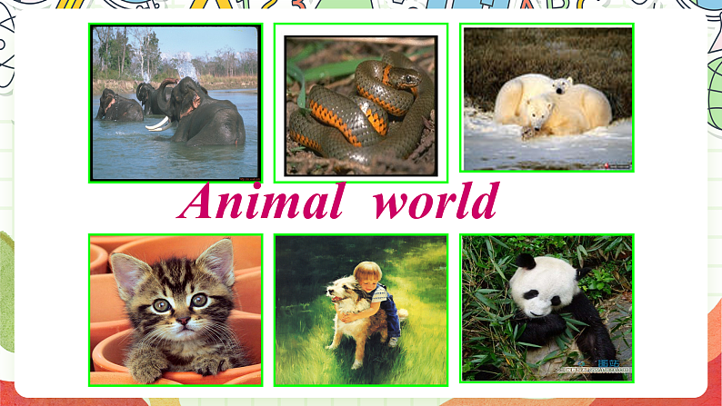 外研版（一起）英语六上 Module 7 Unit 1《Pandas love bamboo》课件03