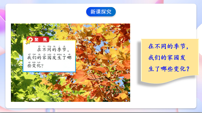 【新课标】教科版（2017秋）科学二上1.6《不同的季节》课件+教案08