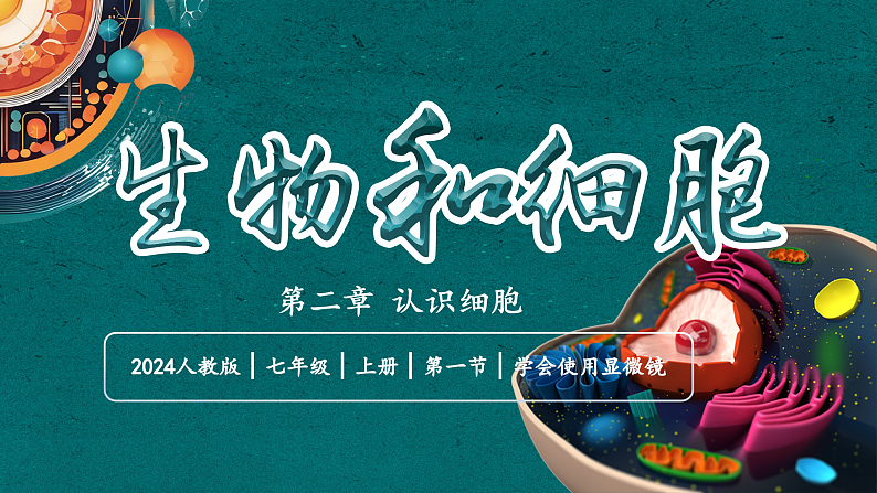 【核心素养】人教版生物七年级上册 1.2.1 学习使用显微镜（教学课件+同步教案+同步练习）01