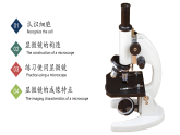 【核心素养】人教版生物七年级上册 1.2.1 学习使用显微镜（教学课件+同步教案+同步练习）