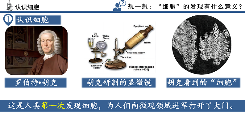 【核心素养】人教版生物七年级上册 1.2.1 学习使用显微镜（教学课件+同步教案+同步练习）06