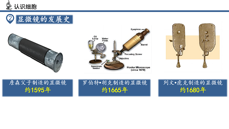 【核心素养】人教版生物七年级上册 1.2.1 学习使用显微镜（教学课件+同步教案+同步练习）07