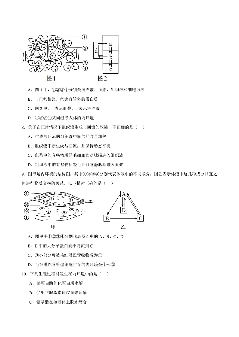 人教版高二生物选择性必修一 1.1 《细胞生活的环境》分层练习（原卷版）第3页