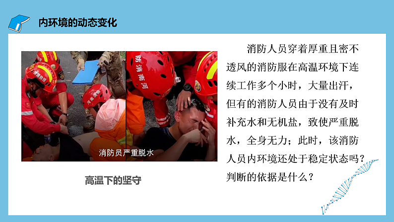 人教版高二生物选择性必修一 1.2 《内环境的稳态》课件第4页